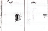 61