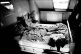 BED5