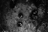 r12