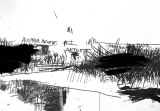 wasteland21