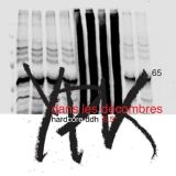 YPK65-1-copie