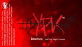 YPK86-brumes-1-copie